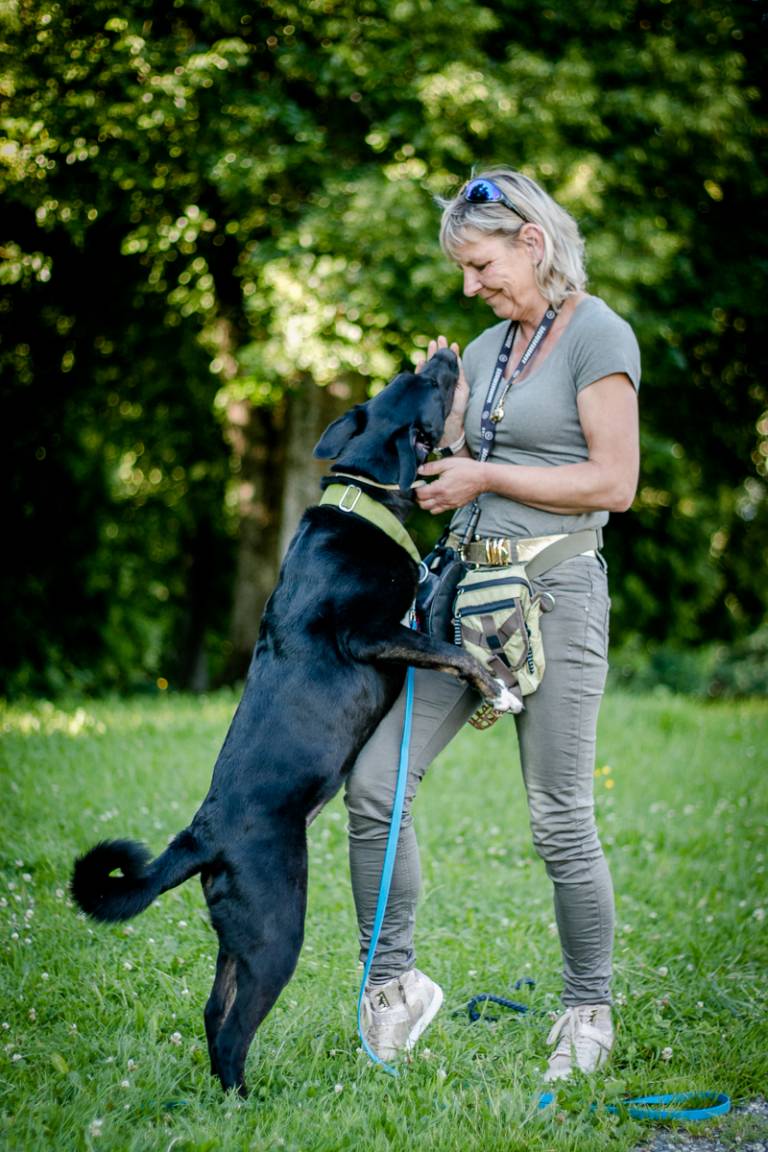 Warum springen Hunde Menschen an (Teil 2/4) HundeCoach Allgäu Eure