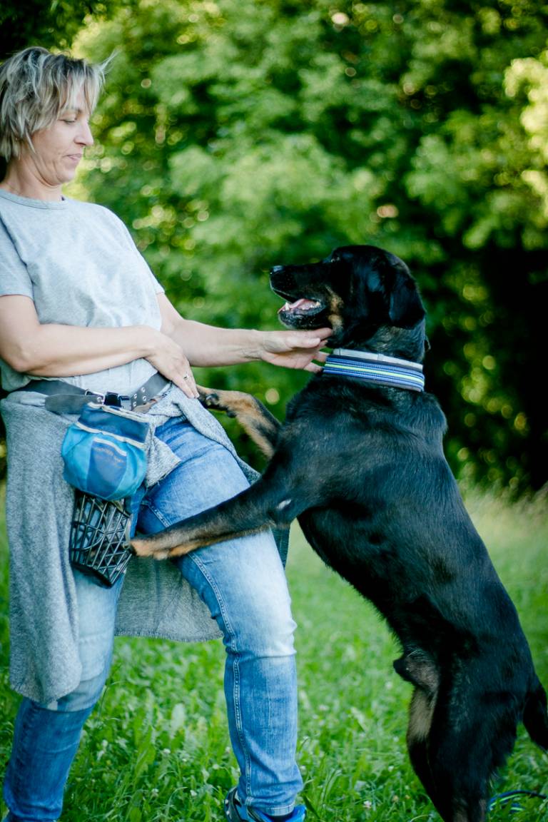 Wie kann ich meinem Hund nun das Anspringen von mir abgewöhnen? (Teil 3