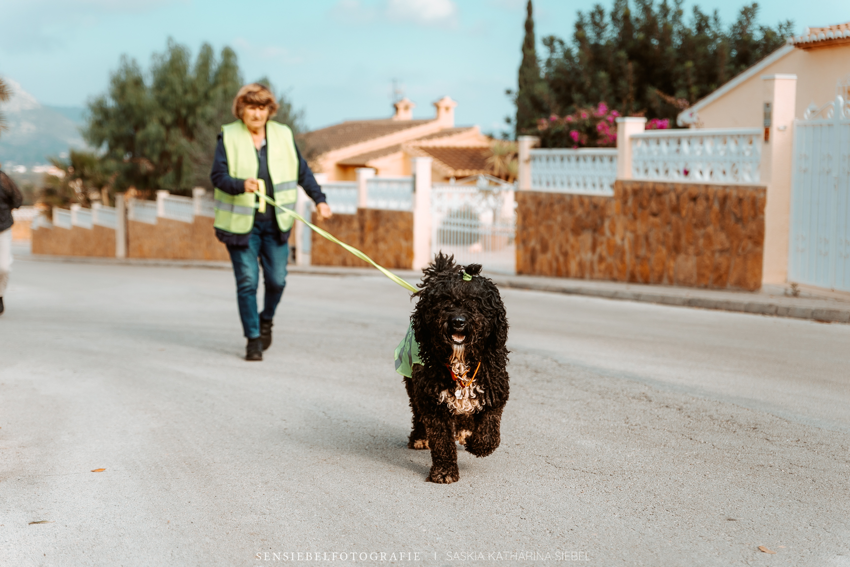 Mantrailing Hundecoach Wolfgang Siebel deine Hundeschule in Denia Costa Blanca